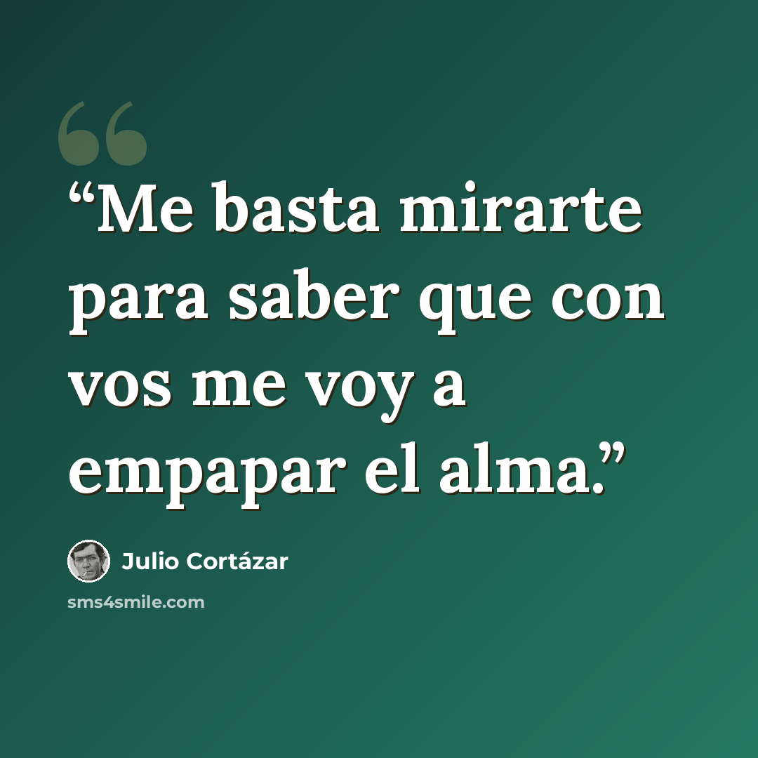 “Me basta mirarte para saber que con vos me voy a empapar el alma.” quote by Julio Cortázar