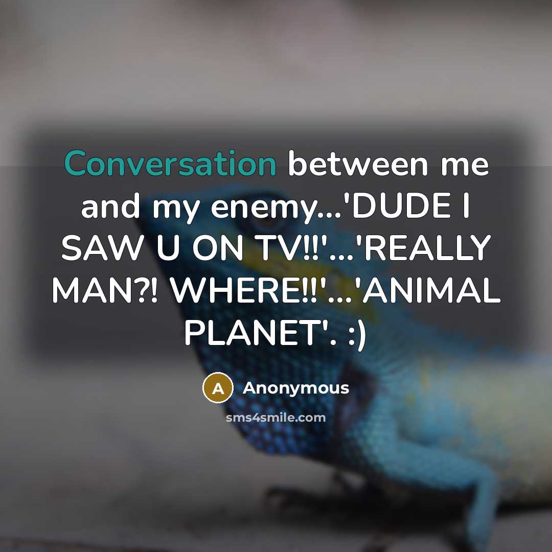 “Conversation between me and my enemy…'DUDE I SAW U ON TV!!'...'REALLY MAN?! WHERE!!'…'ANIMAL PLANET'. :)” quote by Anonymous