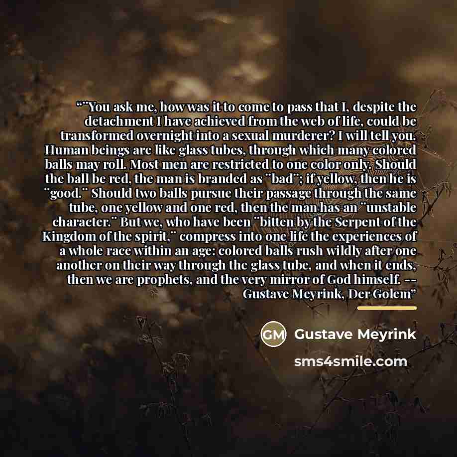 “¨You ask me, how was it to come to pass that I, despite the detachment I have achieved from the web of life, could be transformed overnight into a sexual murderer? I will tell you. Human beings are like glass tubes, through which many colored balls may roll. Most men are restricted to one color…” quote by Gustave Meyrink