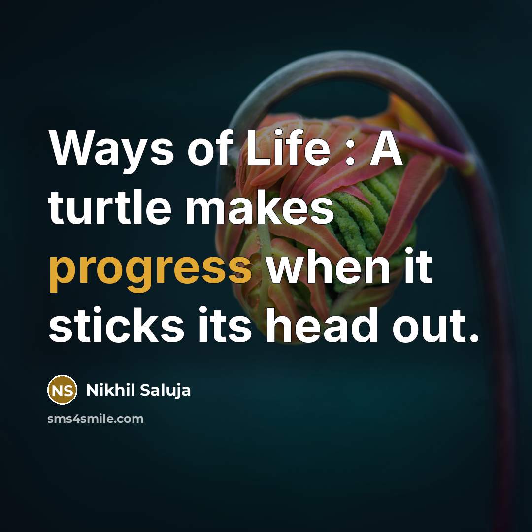 “Ways of Life : A turtle makes progress when it sticks its head out.” quote by Nikhil Saluja