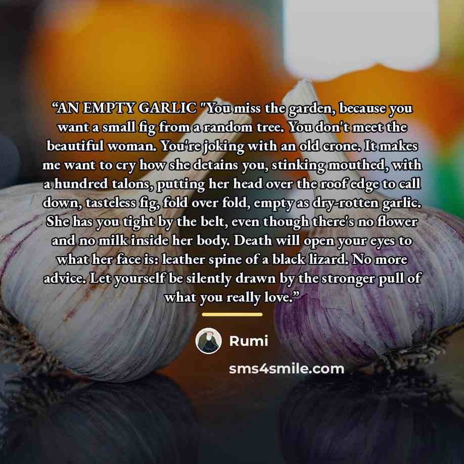 “AN EMPTY GARLIC "You miss the garden, because you want a small fig from a random tree. You don't meet the beautiful woman. You're joking with an old crone. It makes me want to cry how she detains you, stinking mouthed, with a hundred talons, putting her head over the roof edge to call down…” quote by Rumi