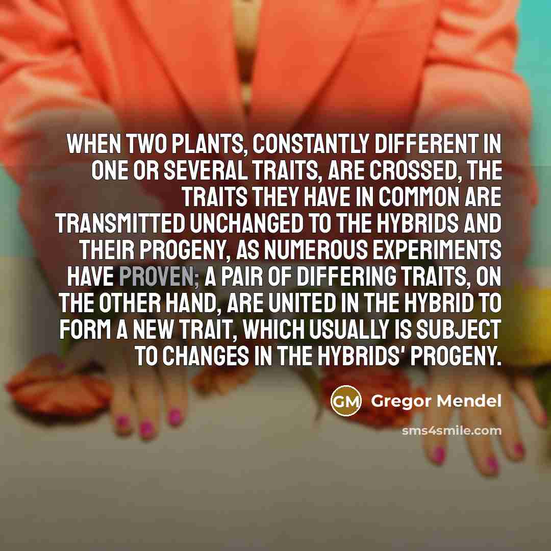 “When two plants, constantly different in one or several traits, are crossed, the traits they have in common are transmitted unchanged to the hybrids and their progeny, as numerous experiments have proven; a pair of differing traits, on the other hand, are united in the hybrid to form a new trait…” quote by Gregor Mendel