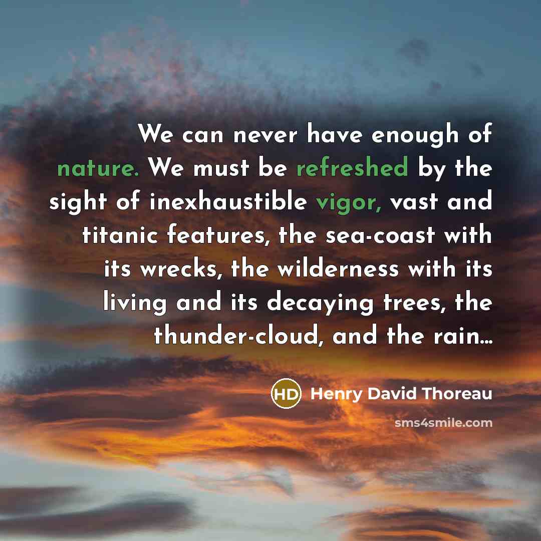 “We can never have enough of nature. We must be refreshed by the sight of inexhaustible vigor, vast and titanic features, the sea-coast with its wrecks, the wilderness with its living and its decaying trees, the thunder-cloud, and the rain...” quote by Henry David Thoreau