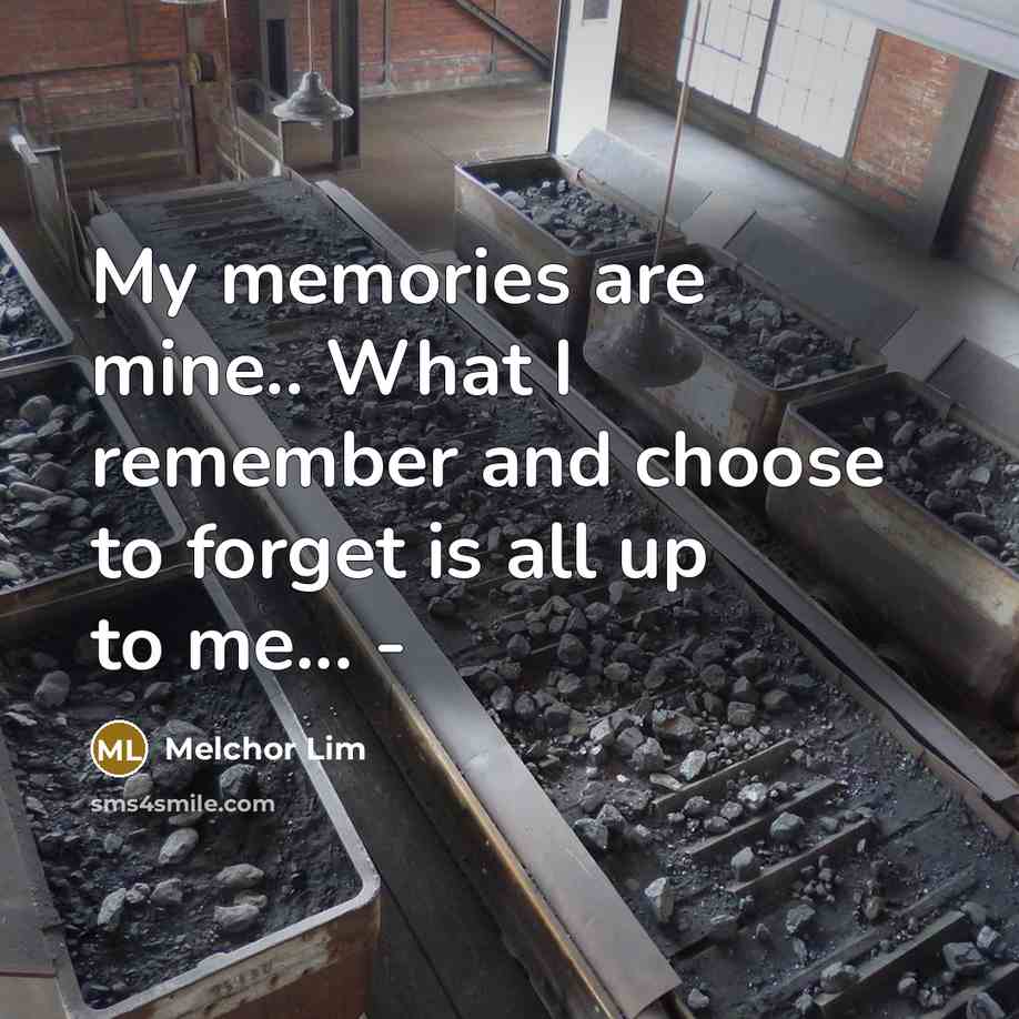 “My memories are mine.. What I remember and choose to forget is all up to me... -” quote by Melchor Lim