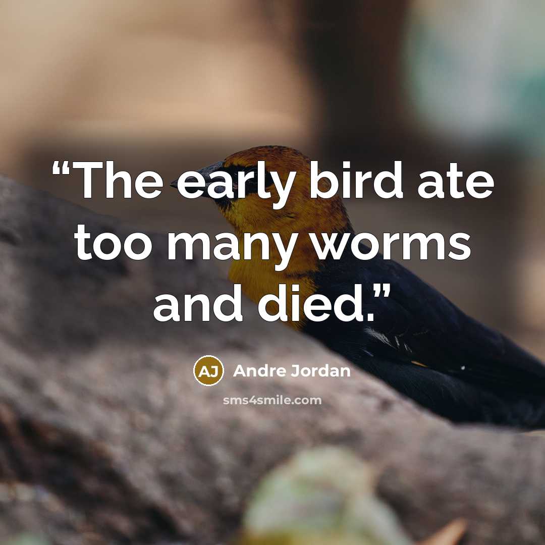 “The early bird ate too many worms and died.” quote by Andre Jordan