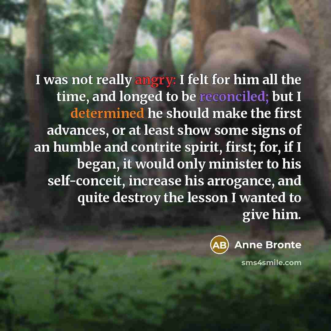 “I was not really angry: I felt for him all the time, and longed to be reconciled; but I determined he should make the first advances, or at least show some signs of an humble and contrite spirit, first; for, if I began, it would only minister to his self-conceit, increase his arrogance, and quite…” quote by Anne Bronte