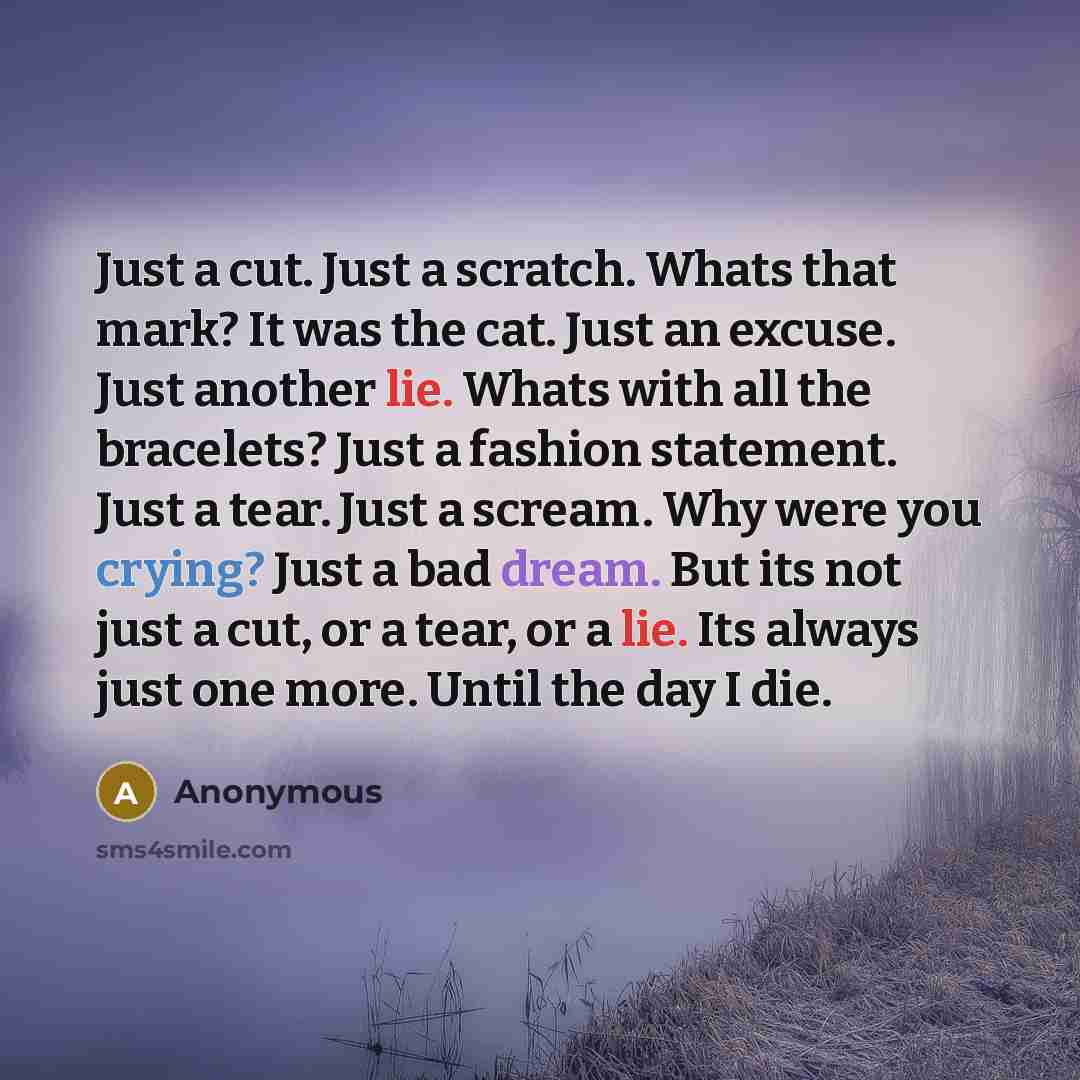“Just a cut. Just a scratch. Whats that mark? It was the cat. Just an excuse. Just another lie. Whats with all the bracelets? Just a fashion statement. Just a tear. Just a scream. Why were you crying? Just a bad dream. But its not just a cut, or a tear, or a lie. Its always just one more. Until the…” quote by Anonymous