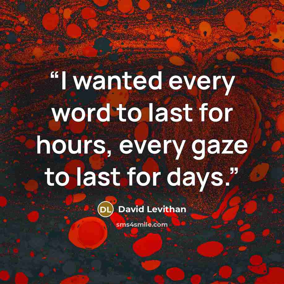 “I wanted every word to last for hours, every gaze to last for days.” quote by David Levithan
