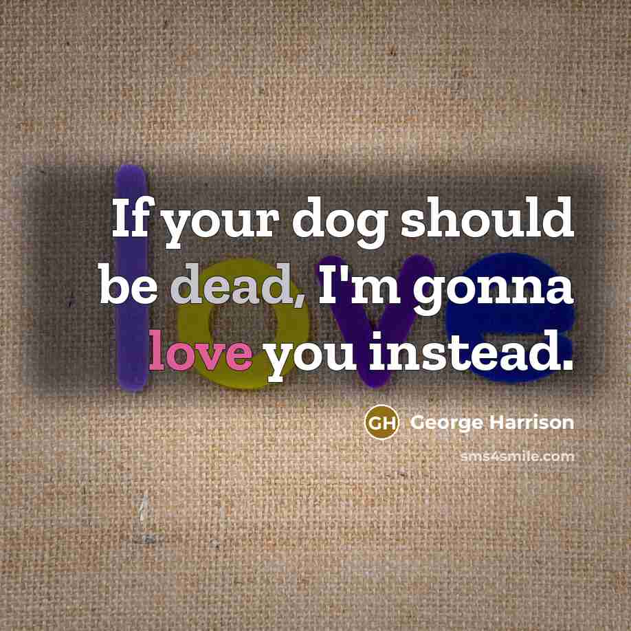 “If your dog should be dead, I'm gonna love you instead.” quote by George Harrison