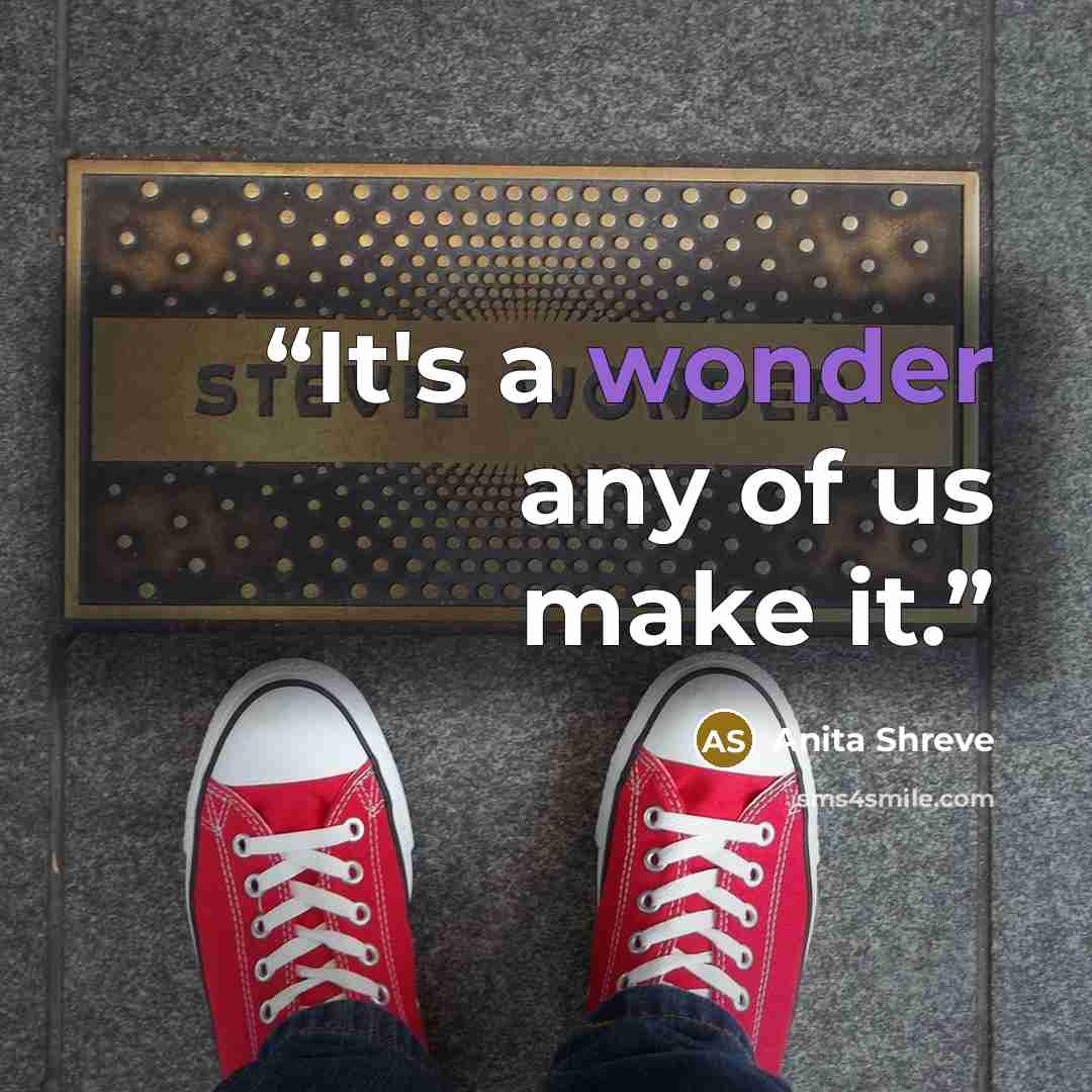 “It's a wonder any of us make it.” quote by Anita Shreve