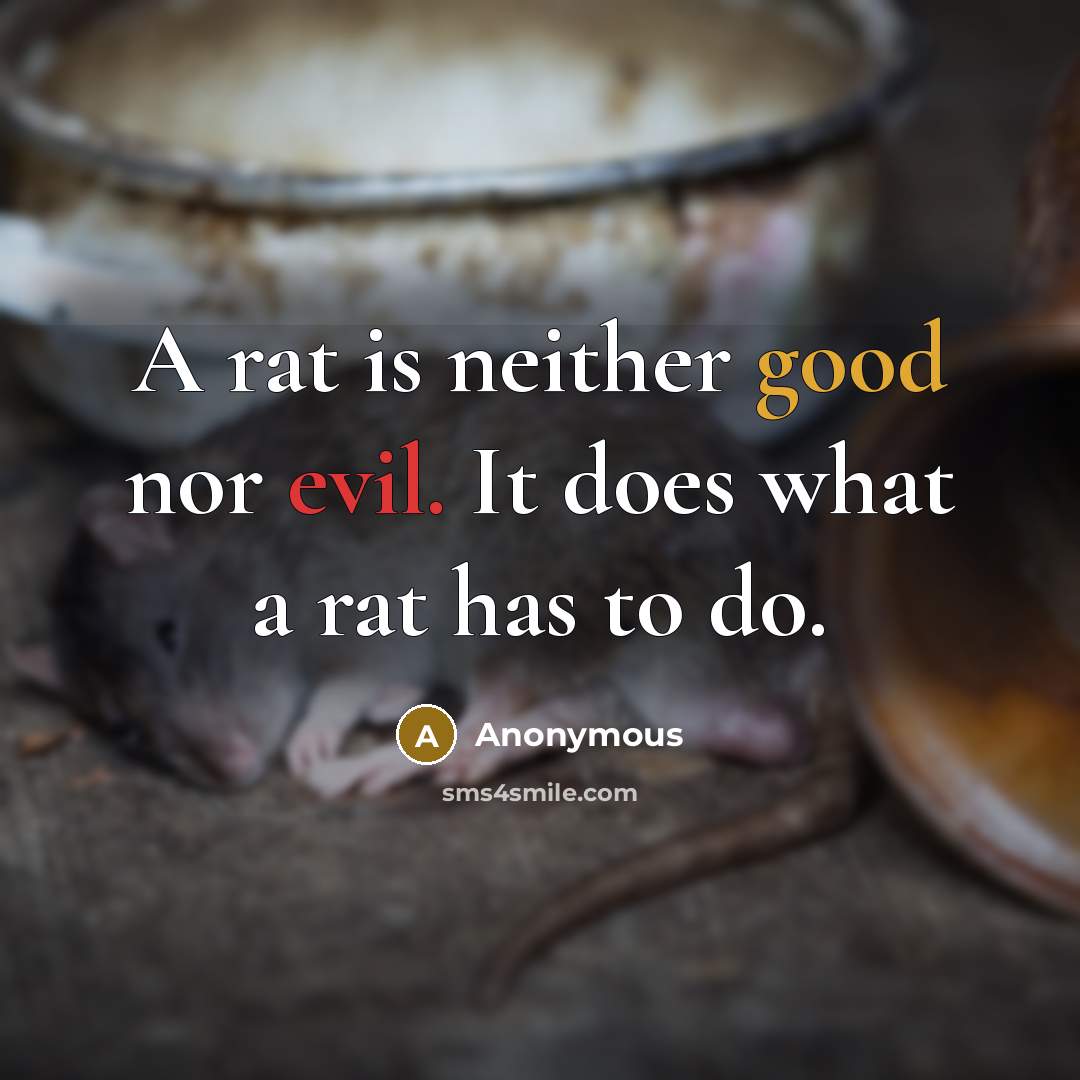 “A rat is neither good nor evil. It does what a rat has to do.” quote by Anonymous