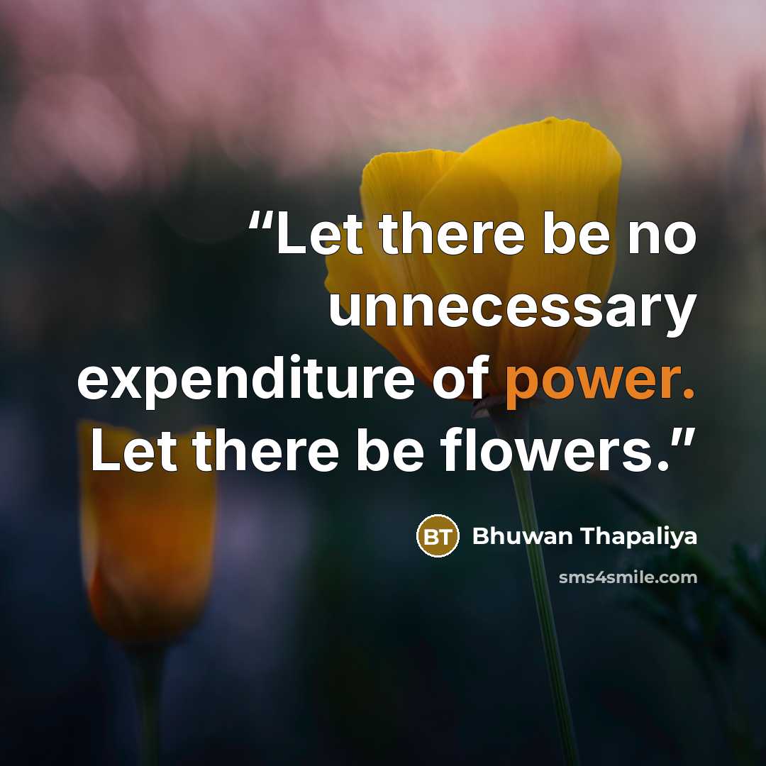 “Let there be no unnecessary expenditure of power. Let there be flowers.” quote by Bhuwan Thapaliya