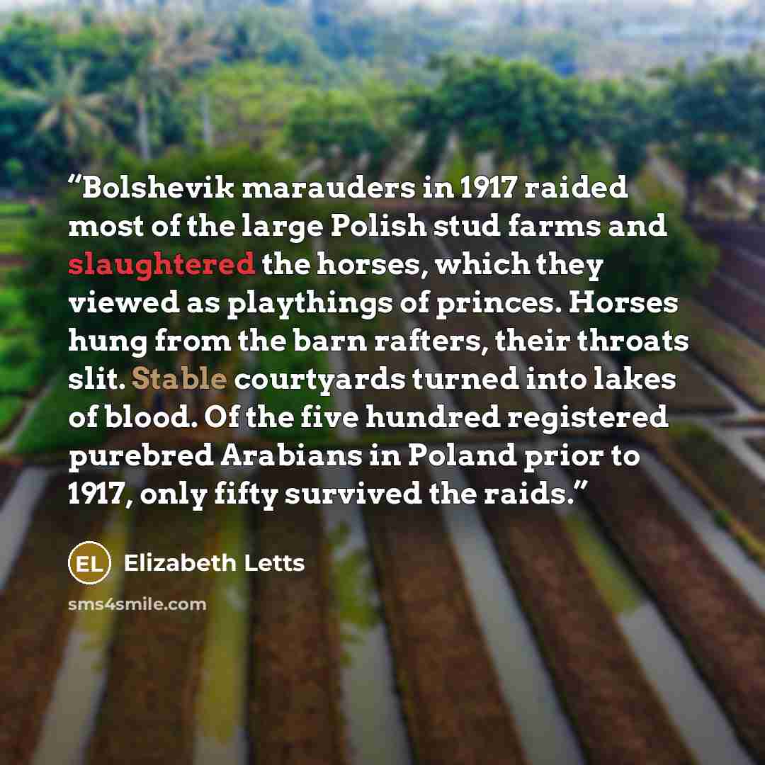 “Bolshevik marauders in 1917 raided most of the large Polish stud farms and slaughtered the horses, which they viewed as playthings of princes. Horses hung from the barn rafters, their throats slit. Stable courtyards turned into lakes of blood. Of the five hundred registered purebred Arabians in…” quote by Elizabeth Letts