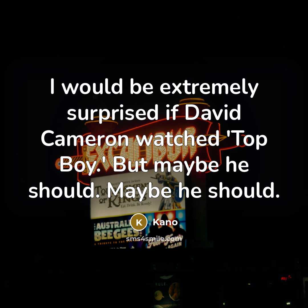 “I would be extremely surprised if David Cameron watched 'Top Boy.' But maybe he should. Maybe he should.” quote by Kano