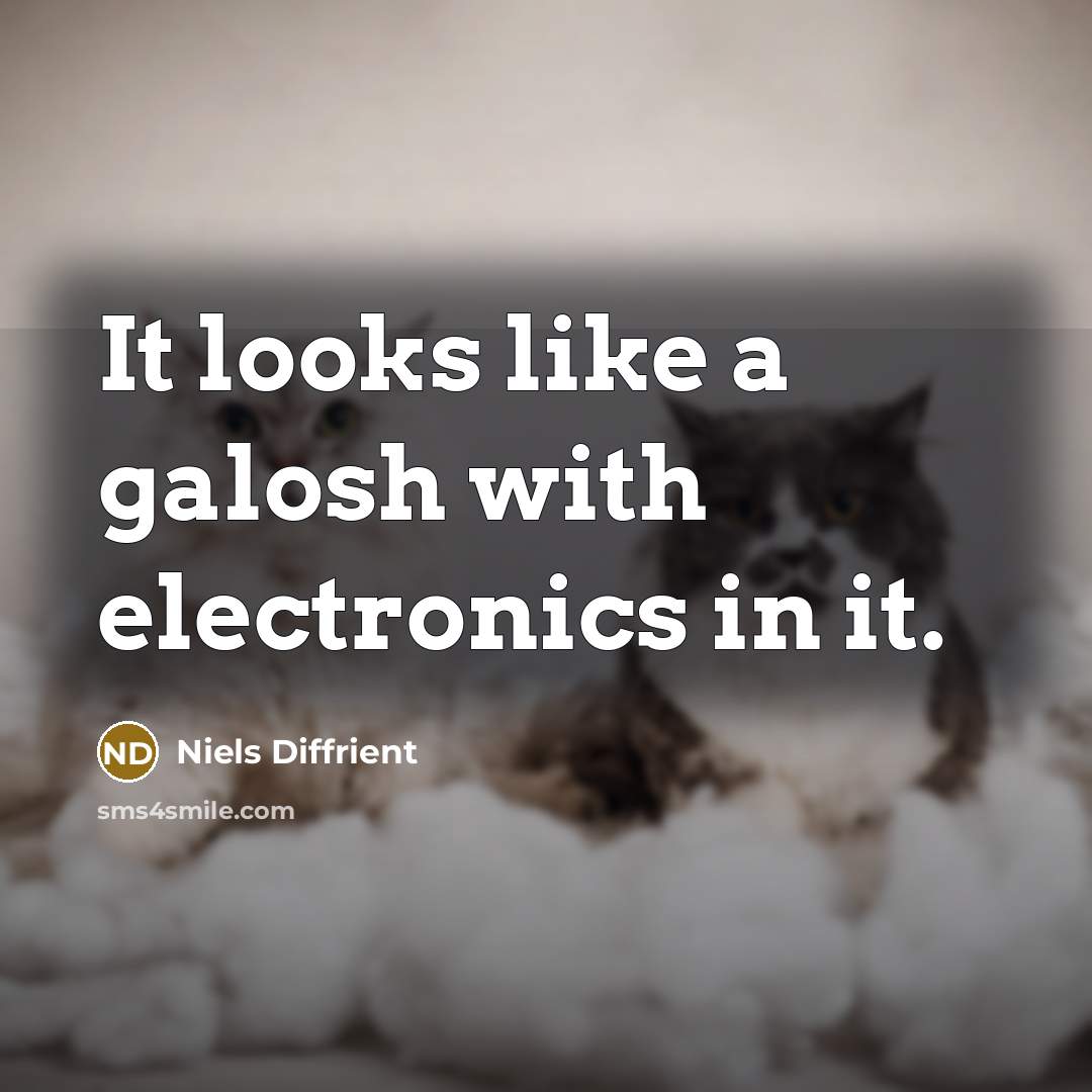 “It looks like a galosh with electronics in it.” quote by Niels Diffrient
