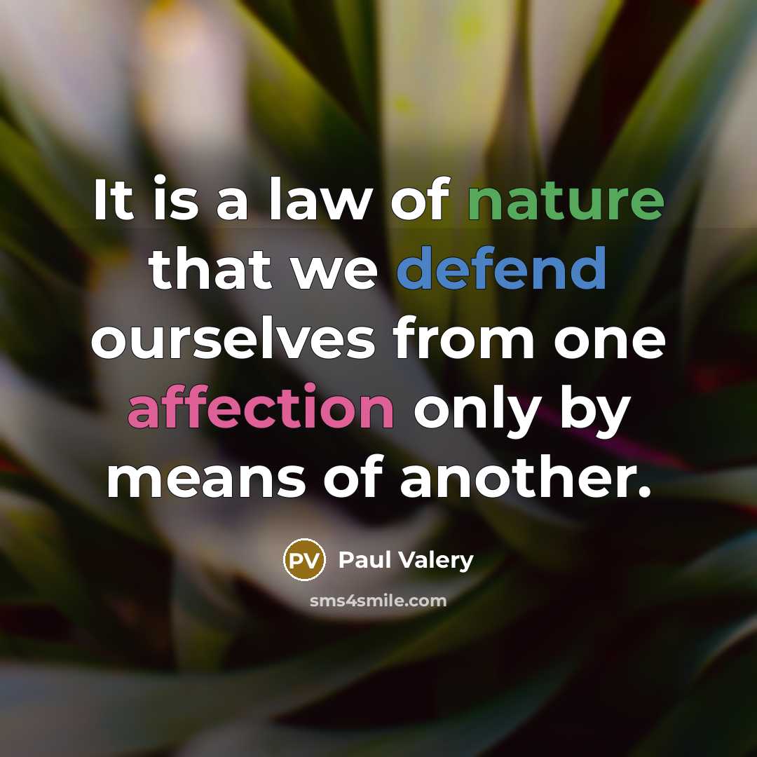 “It is a law of nature that we defend ourselves from one affection only by means of another.” quote by Paul Valery