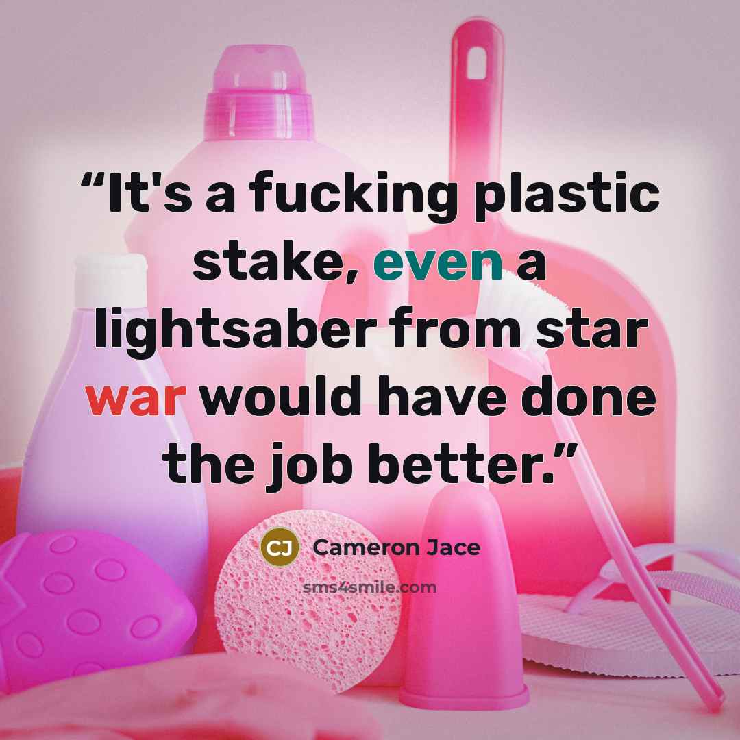 “It's a fucking plastic stake, even a lightsaber from star war would have done the job better.” quote by Cameron Jace