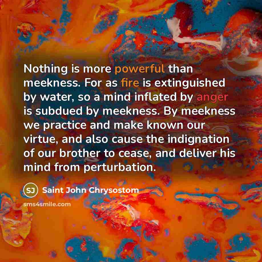 “Nothing is more powerful than meekness. For as fire is extinguished by water, so a mind inflated by anger is subdued by meekness. By meekness we practice and make known our virtue, and also cause the indignation of our brother to cease, and deliver his mind from perturbation.” quote by Saint John Chrysostom