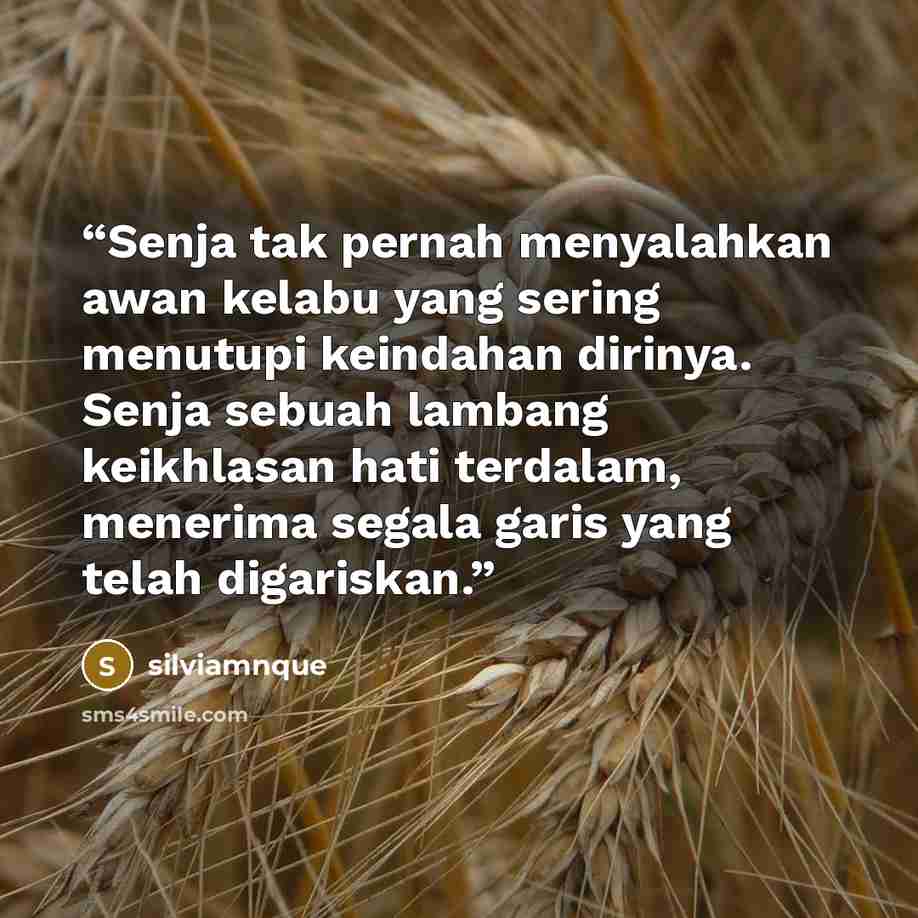 “Senja tak pernah menyalahkan awan kelabu yang sering menutupi keindahan dirinya. Senja sebuah lambang keikhlasan hati terdalam, menerima segala garis yang telah digariskan.” quote by silviamnque