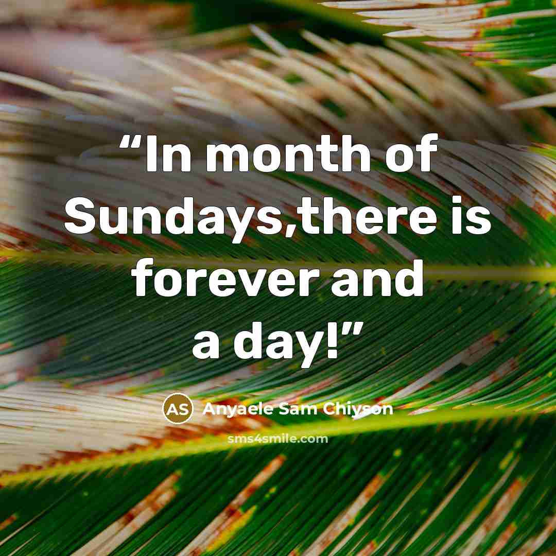“In month of Sundays,there is forever and a day!” quote by Anyaele Sam Chiyson