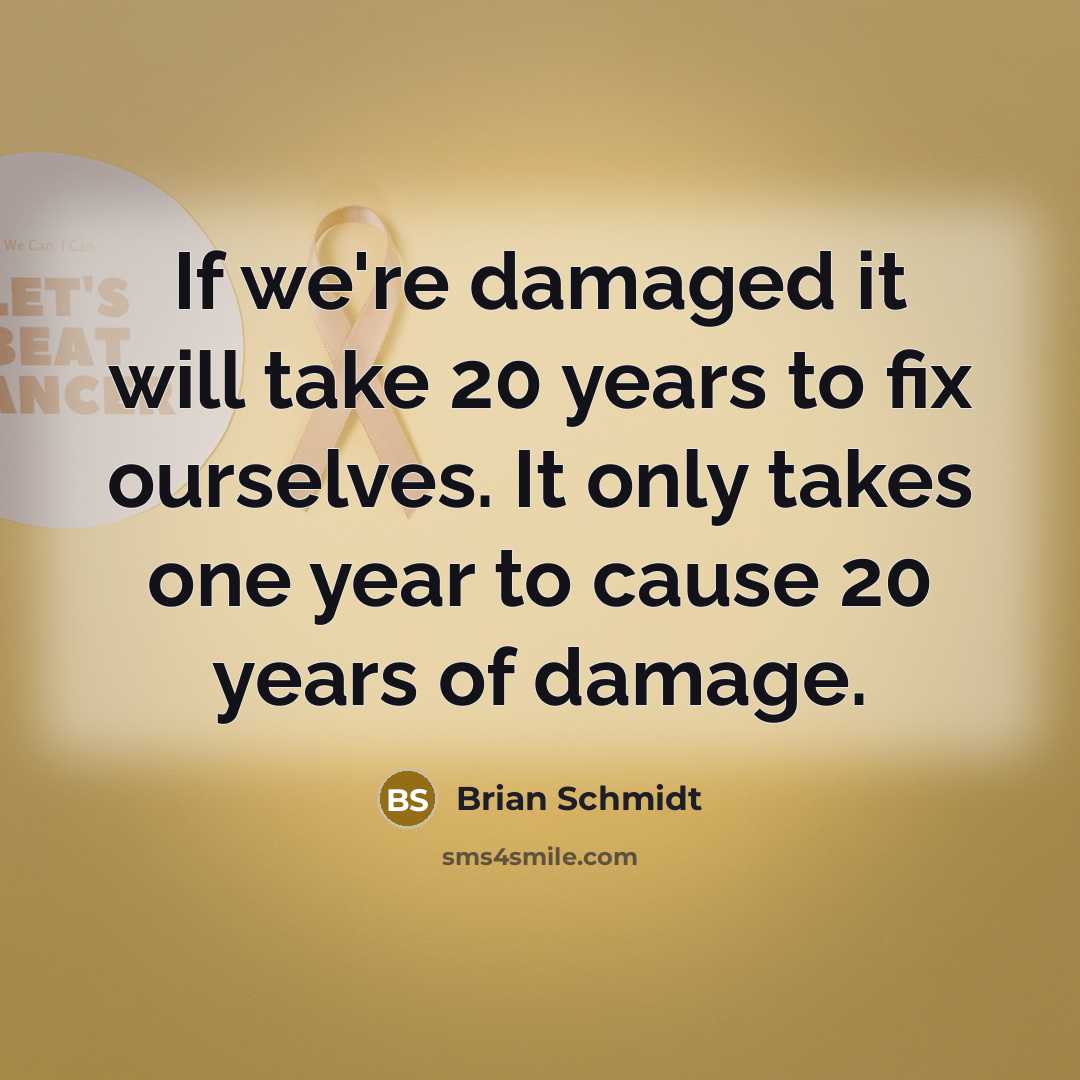 “If we're damaged it will take 20 years to fix ourselves. It only takes one year to cause 20 years of damage.” quote by Brian Schmidt