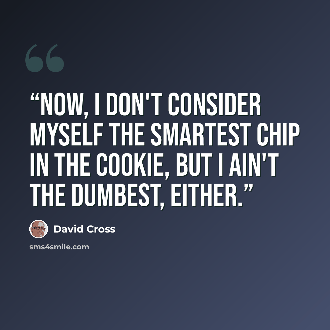 “Now, I don't consider myself the smartest chip in the cookie, but I ain't the dumbest, either.” quote by David Cross
