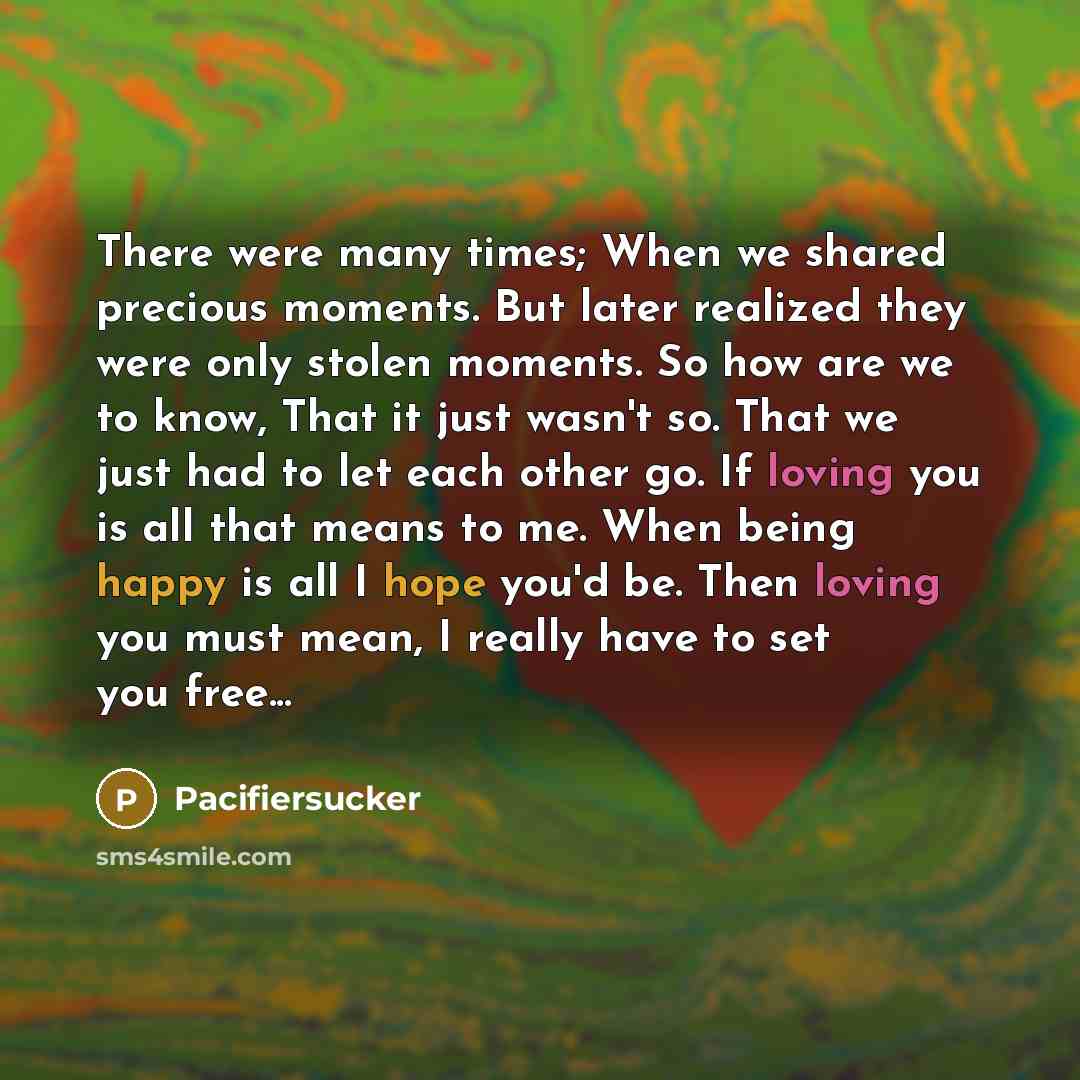 “There were many times; When we shared precious moments. But later realized they were only stolen moments. So how are we to know, That it just wasn't so. That we just had to let each other go. If loving you is all that means to me. When being happy is all I hope you'd be. Then loving you must mean…” quote by Pacifiersucker