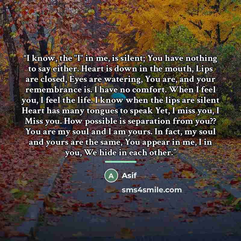 “I know, the "I" in me, is silent; You have nothing to say either. Heart is down in the mouth, Lips are closed, Eyes are watering, You are, and your remembrance is. I have no comfort. When I feel you, I feel the life. I know when the lips are silent Heart has many tongues to speak Yet, I miss you…” quote by Asif