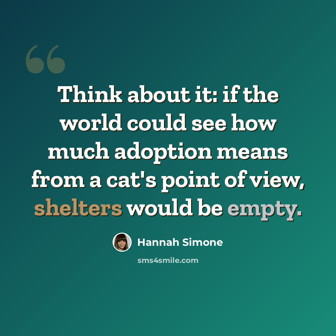 “Think about it: if the world could see how much adoption means from a cat's point of view, shelters would be empty.” quote by Hannah Simone