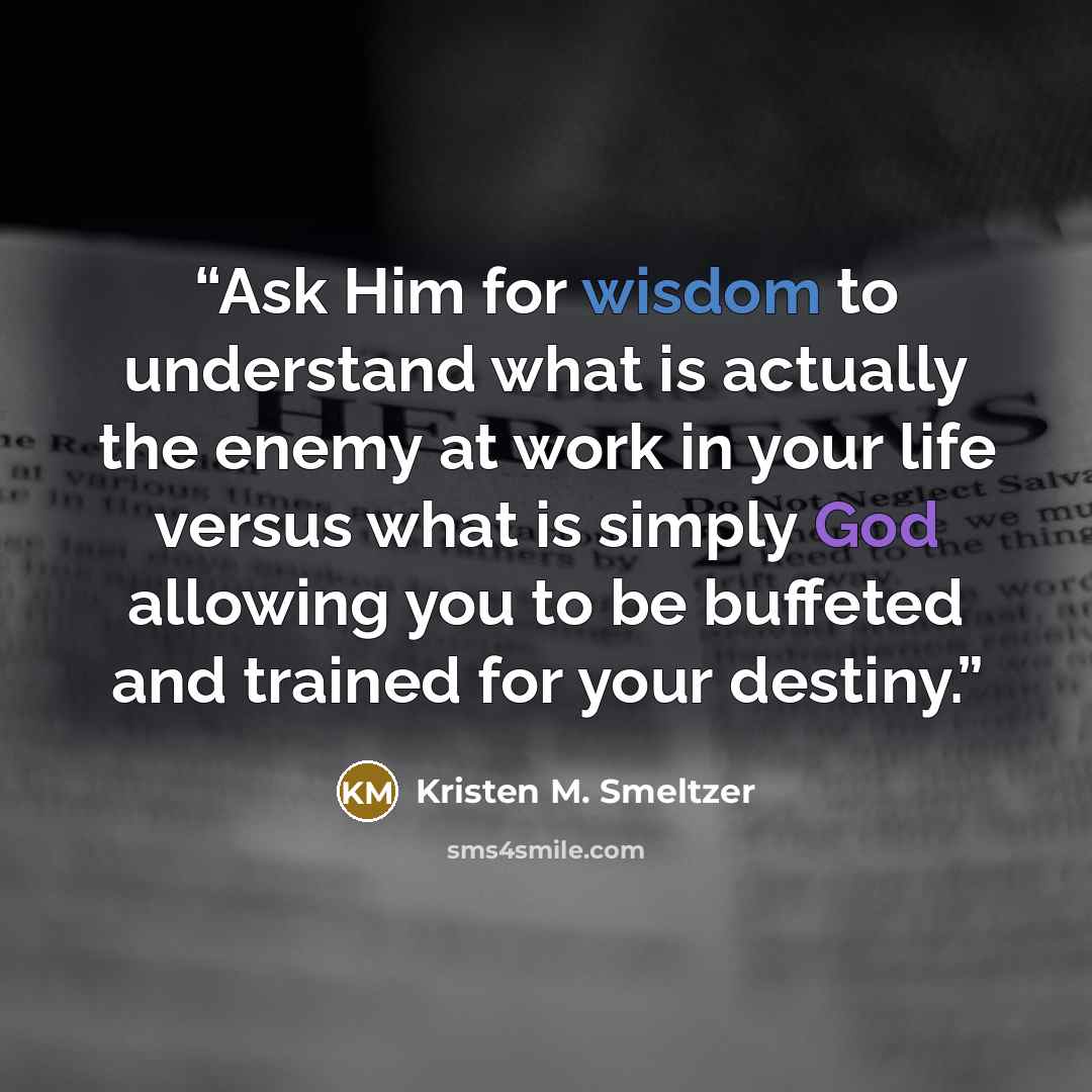 “Ask Him for wisdom to understand what is actually the enemy at work in your life versus what is simply God allowing you to be buffeted and trained for your destiny.” quote by Kristen M. Smeltzer