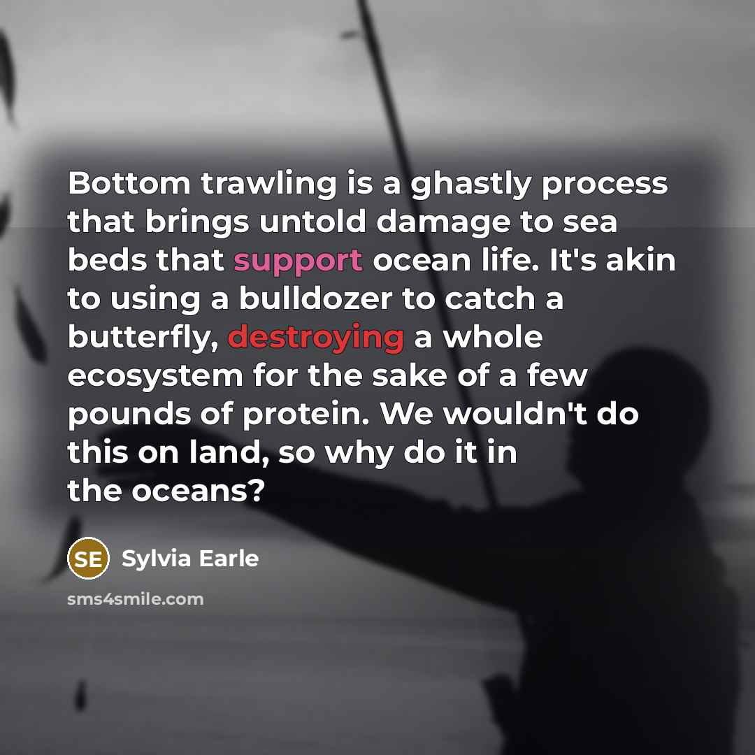 “Bottom trawling is a ghastly process that brings untold damage to sea beds that support ocean life. It's akin to using a bulldozer to catch a butterfly, destroying a whole ecosystem for the sake of a few pounds of protein. We wouldn't do this on land, so why do it in the oceans?” quote by Sylvia Earle