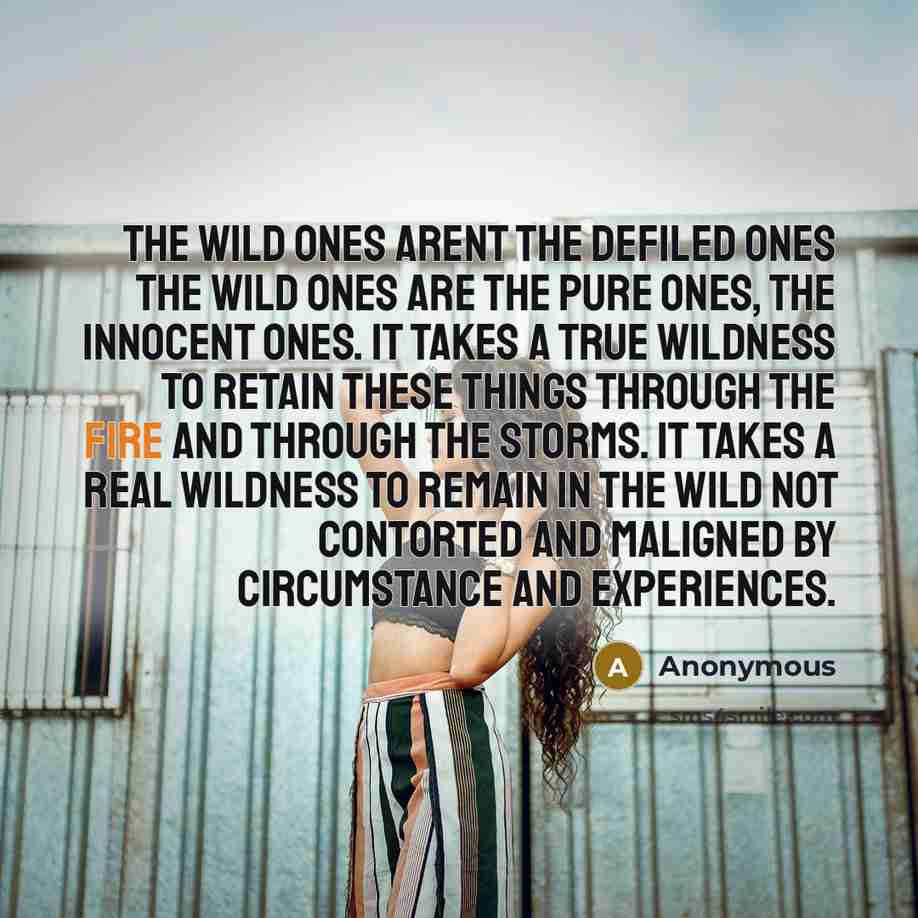 “The wild ones arent the defiled ones the wild ones are the pure ones, the innocent ones. It takes a true wildness to retain these things through the fire and through the storms. It takes a real wildness to remain in the wild not contorted and maligned by circumstance and experiences.” quote by Anonymous