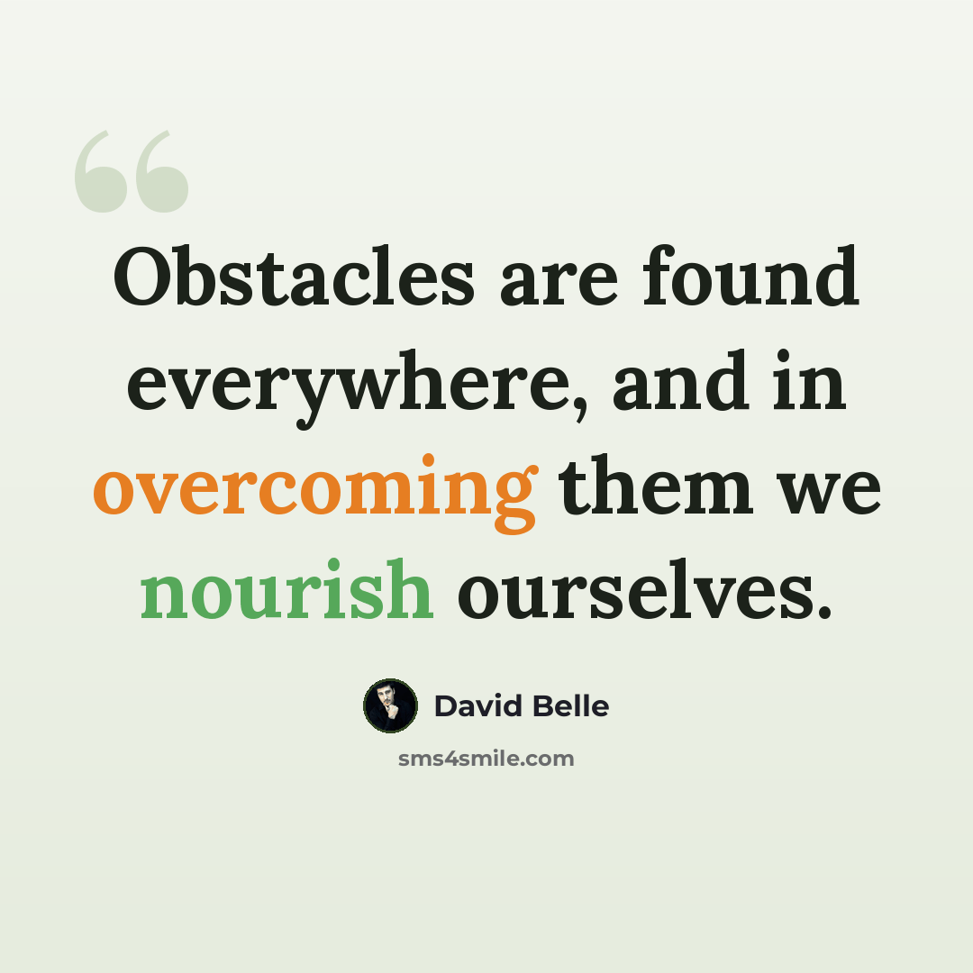 “Obstacles are found everywhere, and in overcoming them we nourish ourselves.” quote by David Belle