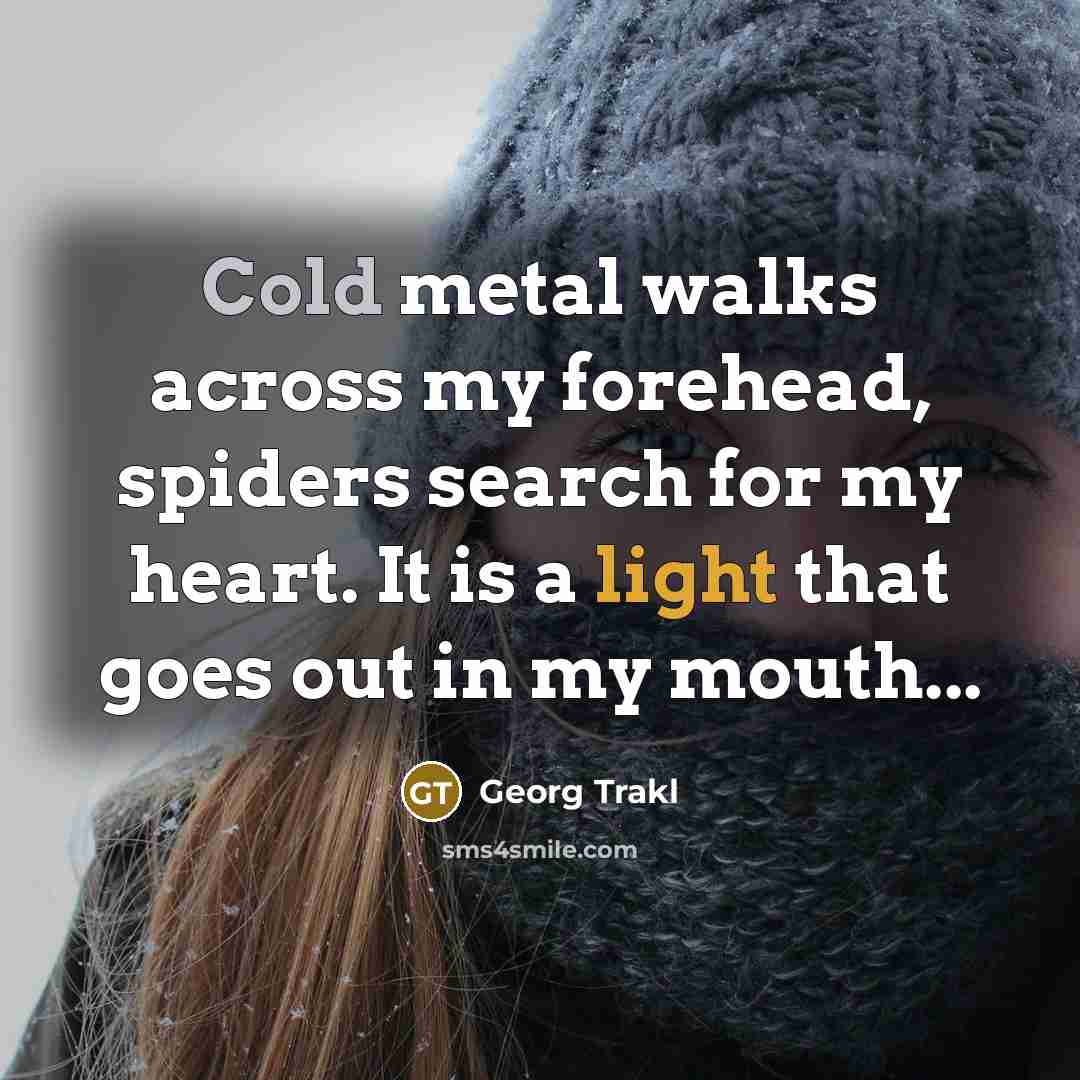 “Cold metal walks across my forehead, spiders search for my heart. It is a light that goes out in my mouth...” quote by Georg Trakl