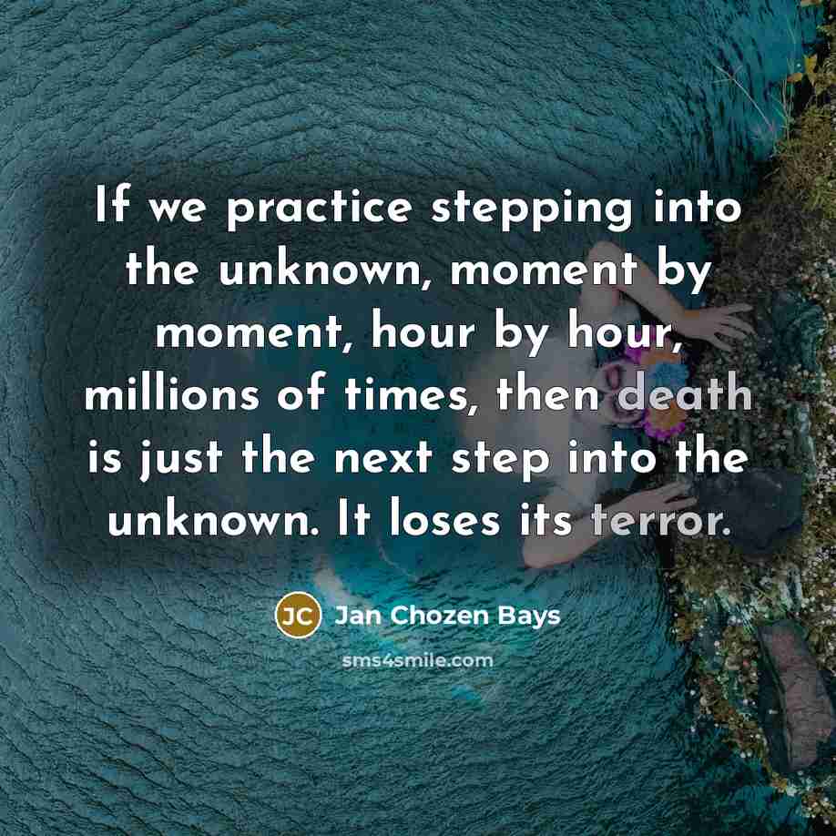 “If we practice stepping into the unknown, moment by moment, hour by hour, millions of times, then death is just the next step into the unknown. It loses its terror.” quote by Jan Chozen Bays