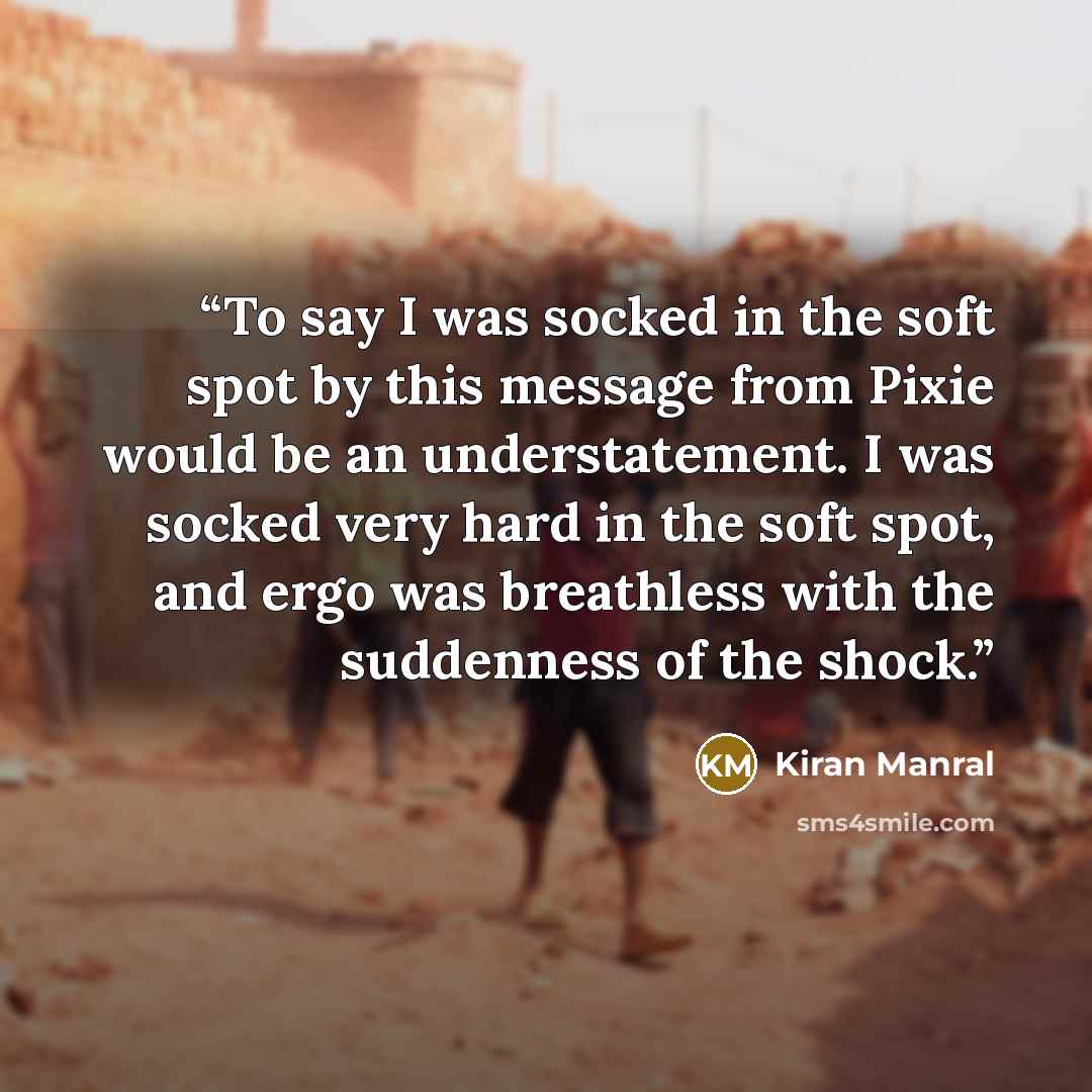 “To say I was socked in the soft spot by this message from Pixie would be an understatement. I was socked very hard in the soft spot, and ergo was breathless with the suddenness of the shock.” quote by Kiran Manral