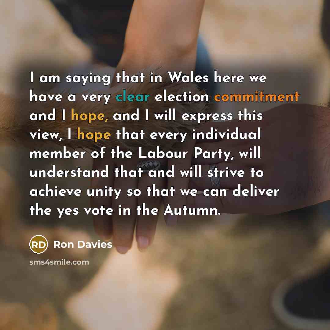 “I am saying that in Wales here we have a very clear election commitment and I hope, and I will express this view, I hope that every individual member of the Labour Party, will understand that and will strive to achieve unity so that we can deliver the yes vote in the Autumn.” quote by Ron Davies
