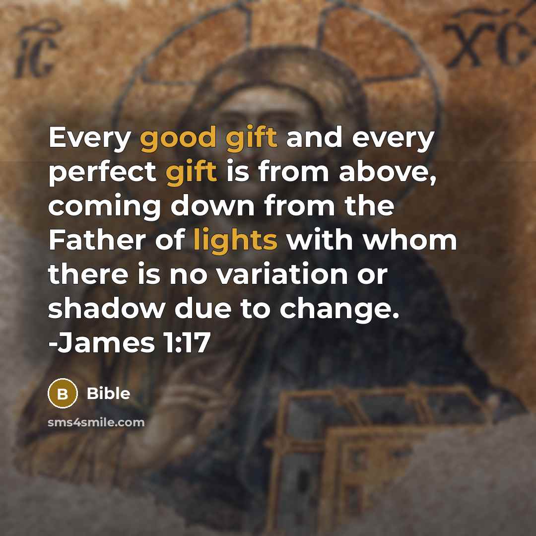“Every good gift and every perfect gift is from above, coming down from the Father of lights with whom there is no variation or shadow due to change. -James 1:17” quote by Bible