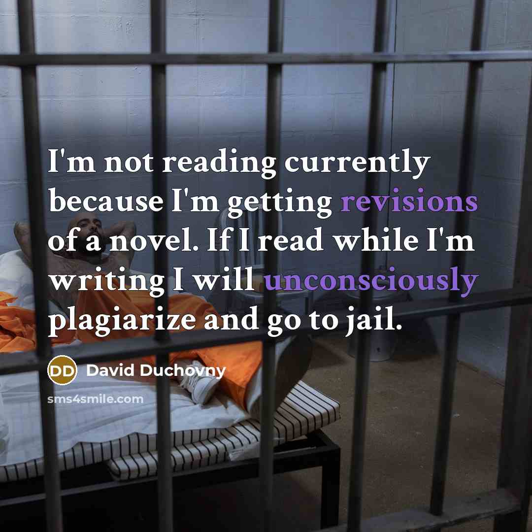 “I'm not reading currently because I'm getting revisions of a novel. If I read while I'm writing I will unconsciously plagiarize and go to jail.” quote by David Duchovny