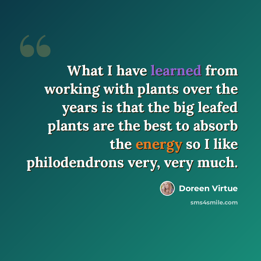 “What I have learned from working with plants over the years is that the big leafed plants are the best to absorb the energy so I like philodendrons very, very much.” quote by Doreen Virtue