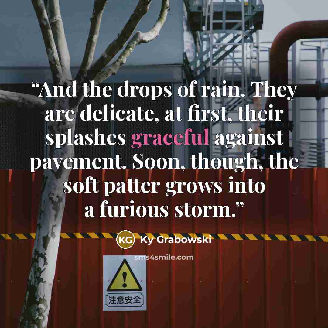“And the drops of rain. They are delicate, at first, their splashes graceful against pavement. Soon, though, the soft patter grows into a furious storm.” quote by Ky Grabowski