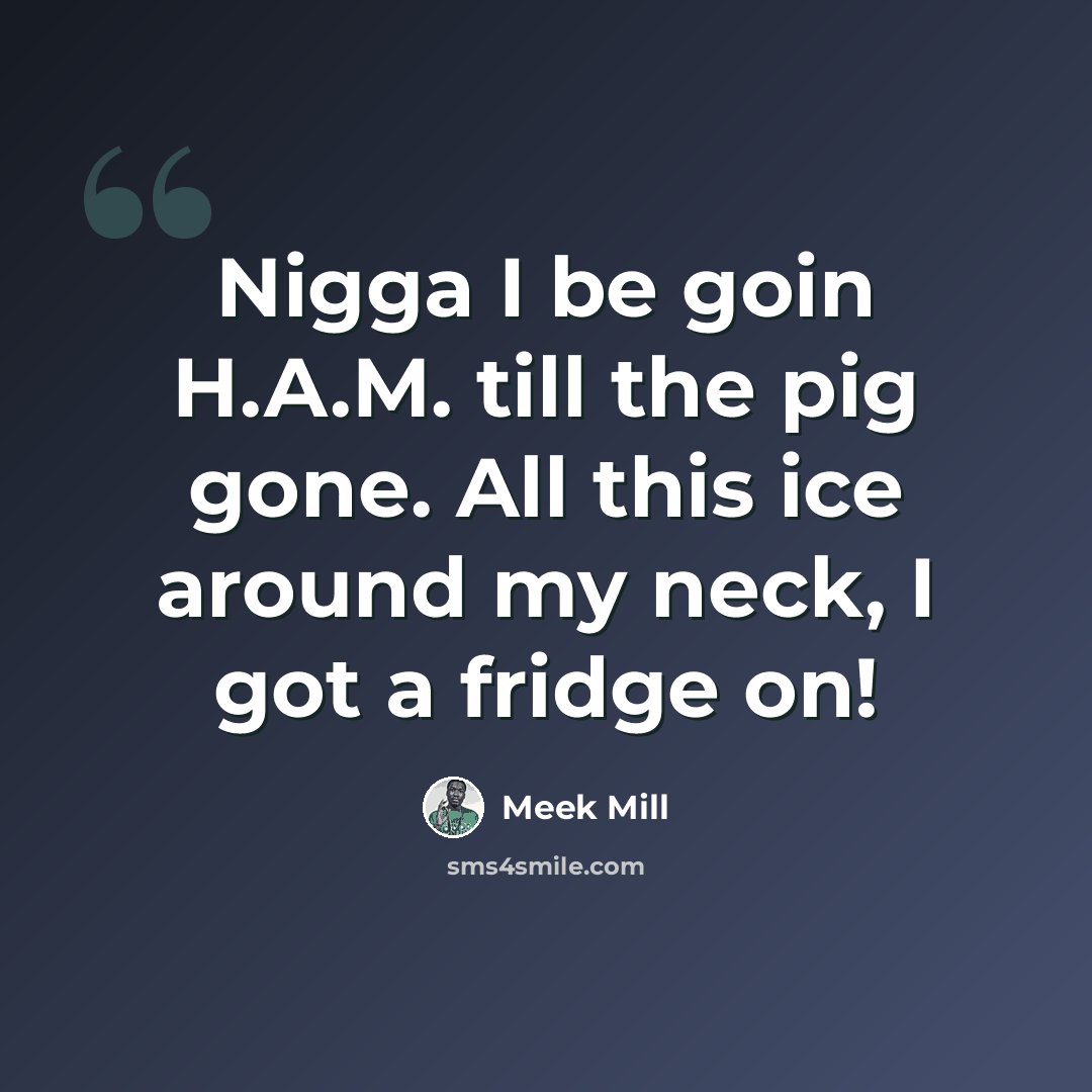 “Nigga I be goin H.A.M. till the pig gone. All this ice around my neck, I got a fridge on!” quote by Meek Mill