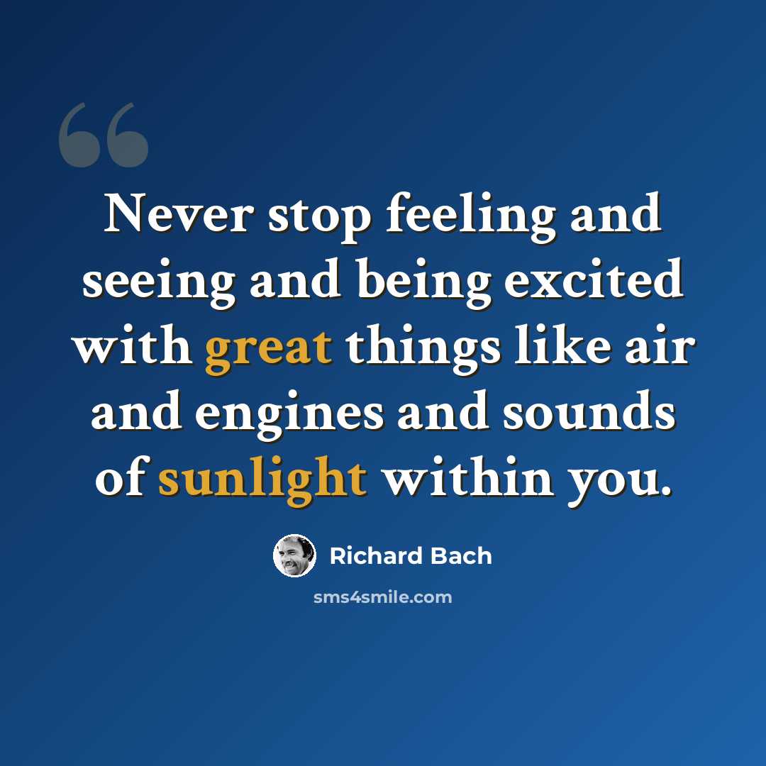 “Never stop feeling and seeing and being excited with great things like air and engines and sounds of sunlight within you.” quote by Richard Bach