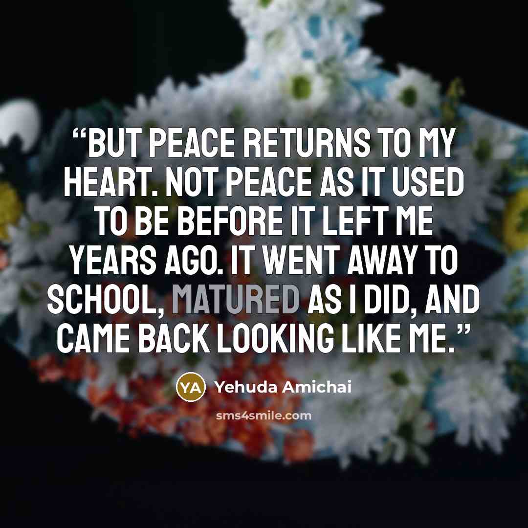 “But peace returns to my heart. Not peace as it used to be before it left me years ago. It went away to school, matured as I did, and came back looking like me.” quote by Yehuda Amichai