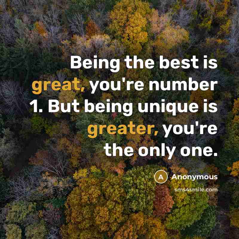 “Being the best is great, you're number 1. But being unique is greater, you're the only one.” quote by Anonymous