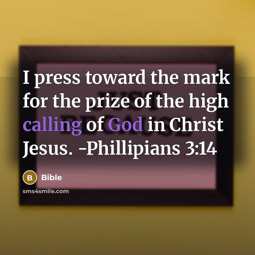 “I press toward the mark for the prize of the high calling of God in Christ Jesus. -Phillipians 3:14” quote by Bible