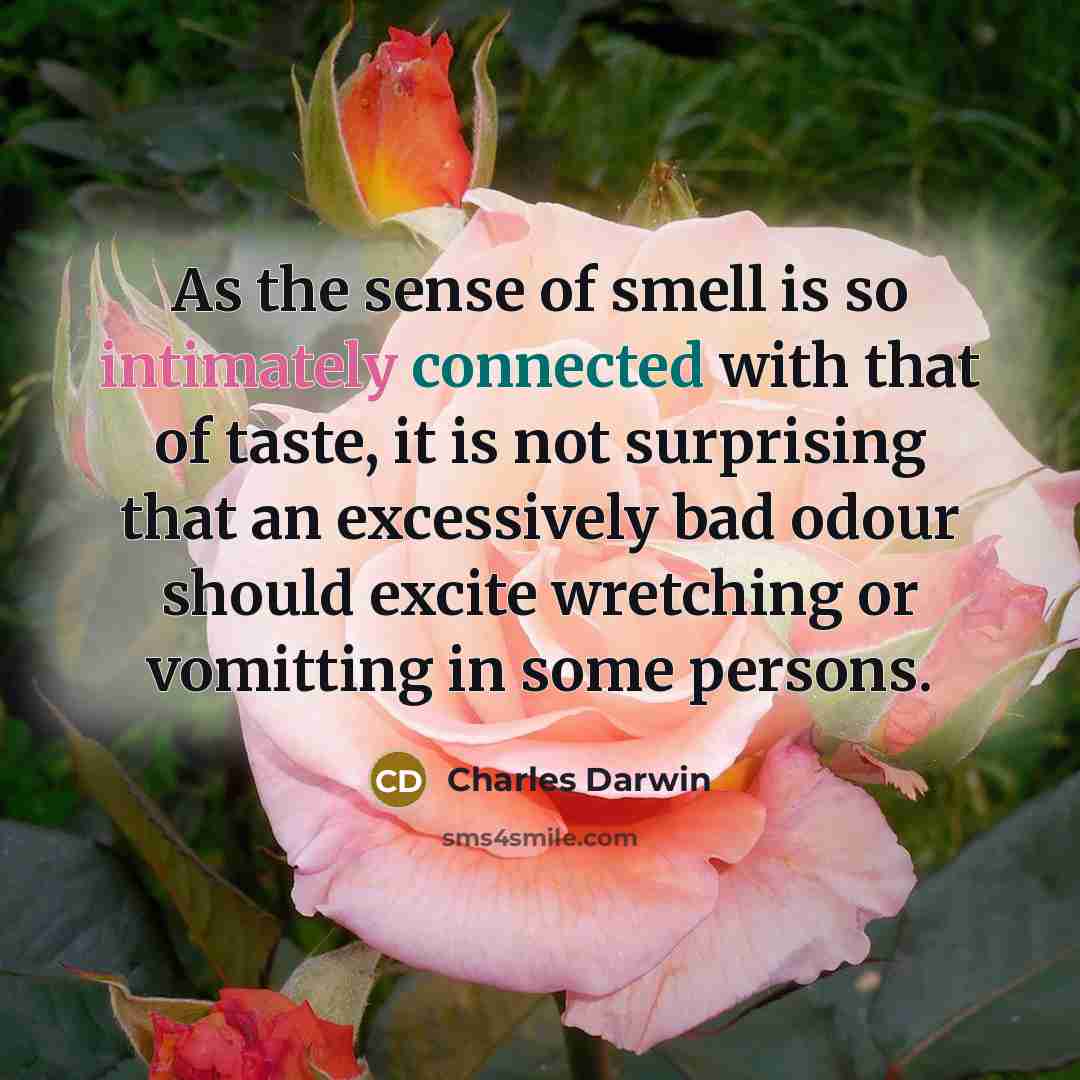 “As the sense of smell is so intimately connected with that of taste, it is not surprising that an excessively bad odour should excite wretching or vomitting in some persons.” quote by Charles Darwin