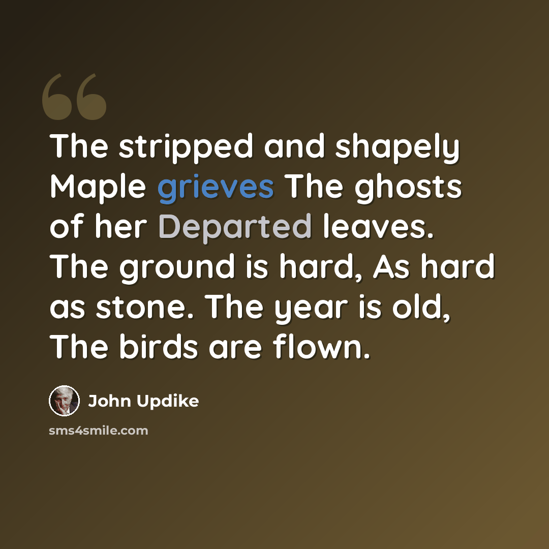 “The stripped and shapely Maple grieves The ghosts of her Departed leaves. The ground is hard, As hard as stone. The year is old, The birds are flown.” quote by John Updike