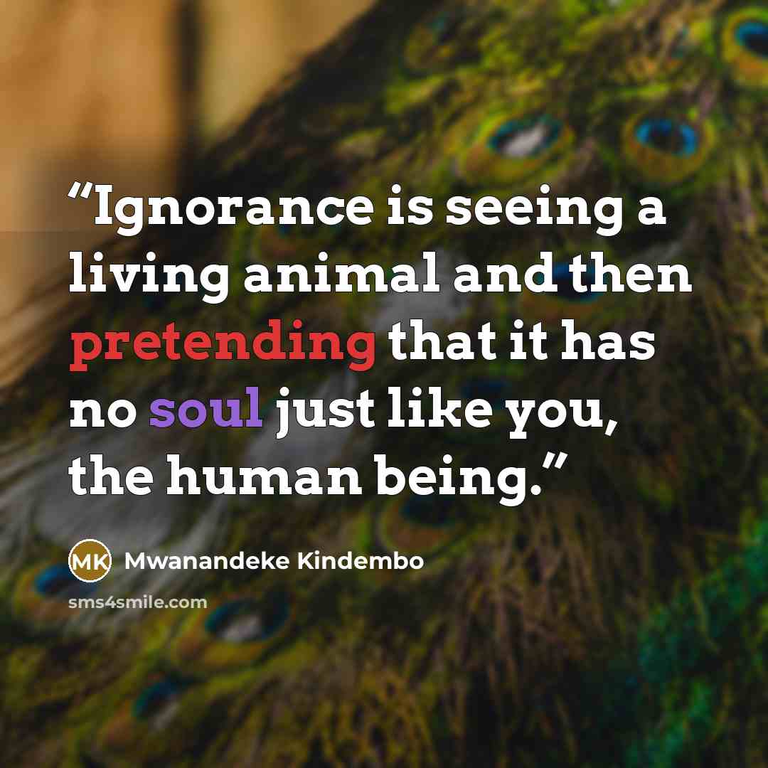 “Ignorance is seeing a living animal and then pretending that it has no soul just like you, the human being.” quote by Mwanandeke Kindembo