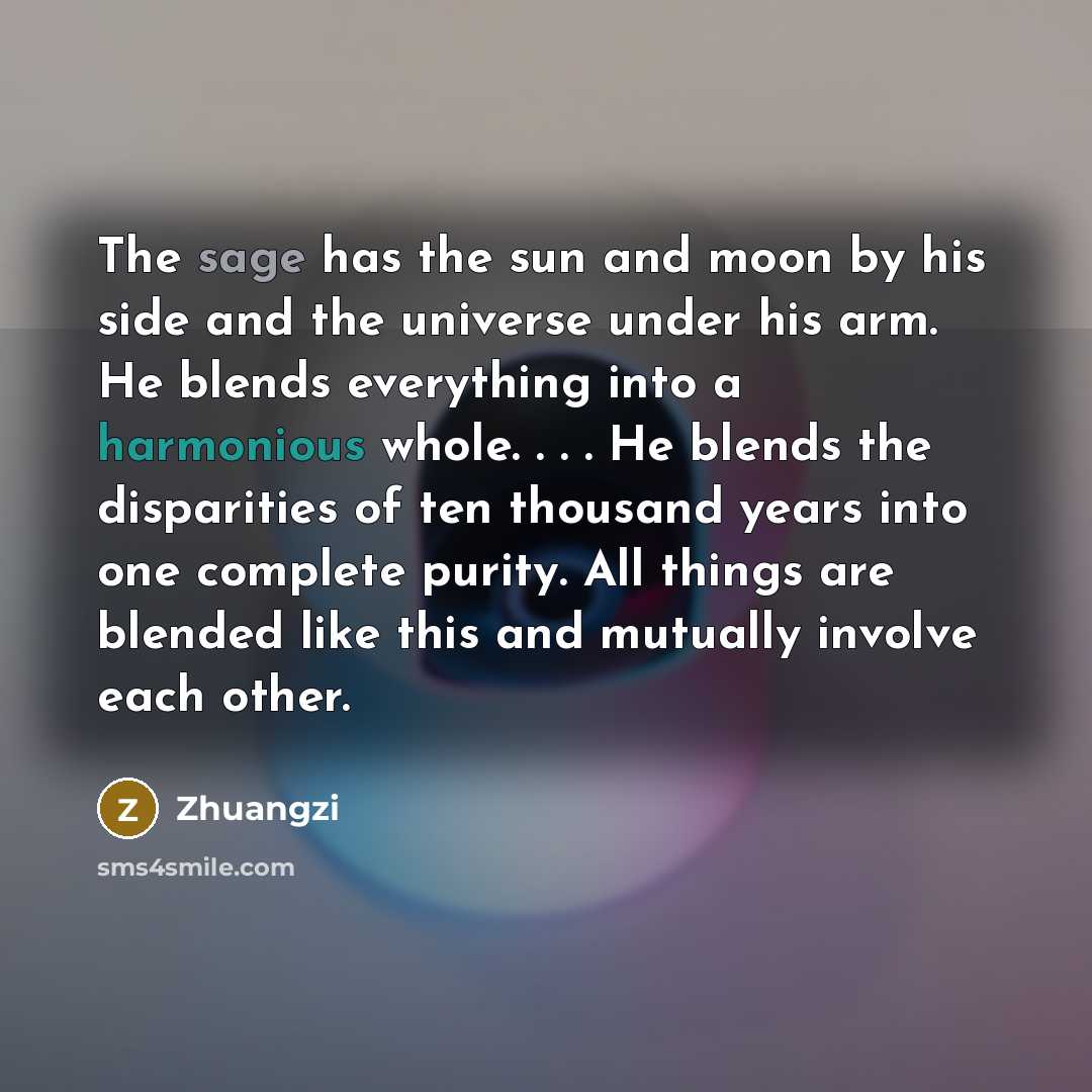“The sage has the sun and moon by his side and the universe under his arm. He blends everything into a harmonious whole. . . . He blends the disparities of ten thousand years into one complete purity. All things are blended like this and mutually involve each other.” quote by Zhuangzi